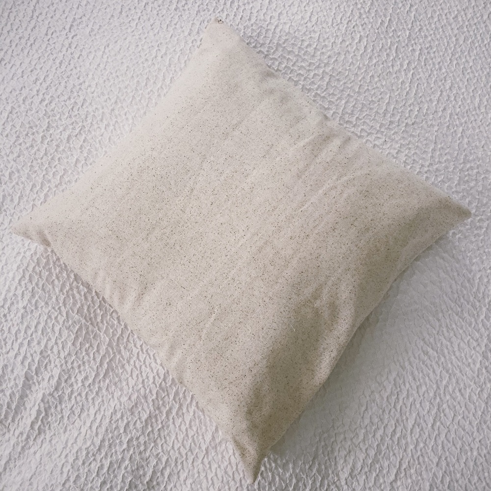 White Farmhouse Throw Pillow 🍂